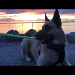 Meet your Posher, Carlos